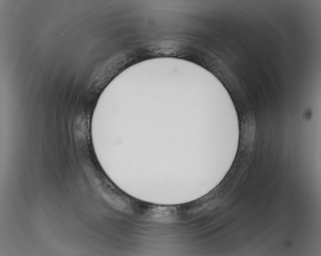 X0000115240126200912111103