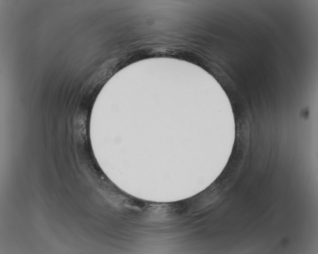 X0000115240127200912111103