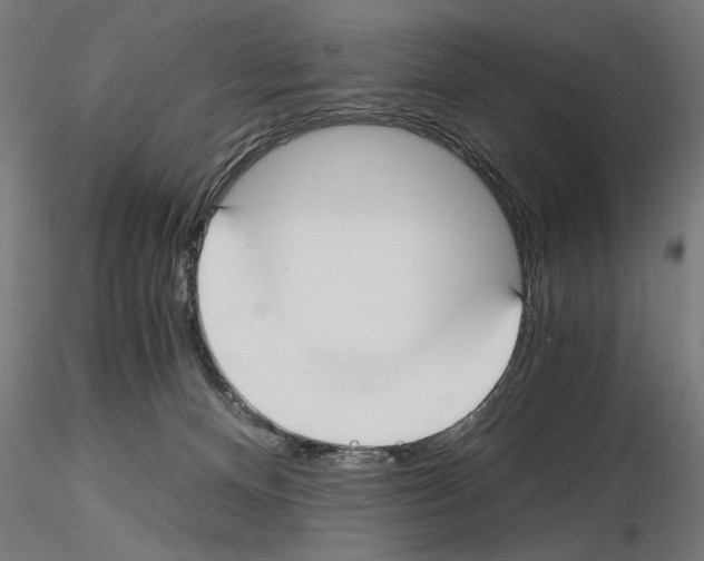 X0000115240128200912111103