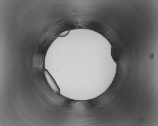 X0000115240129200912111103