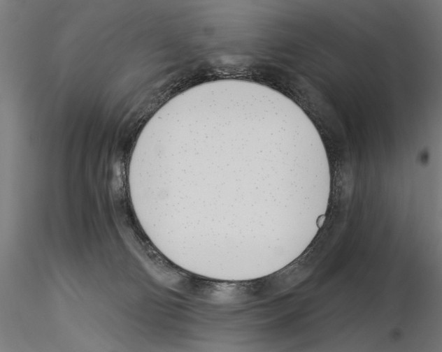 X0000115240130200912111103