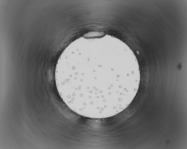 X0000115240131200912111103