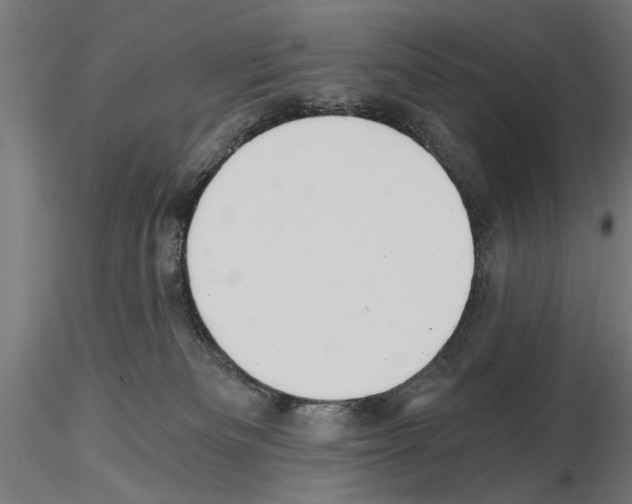 X0000115240133200912111103