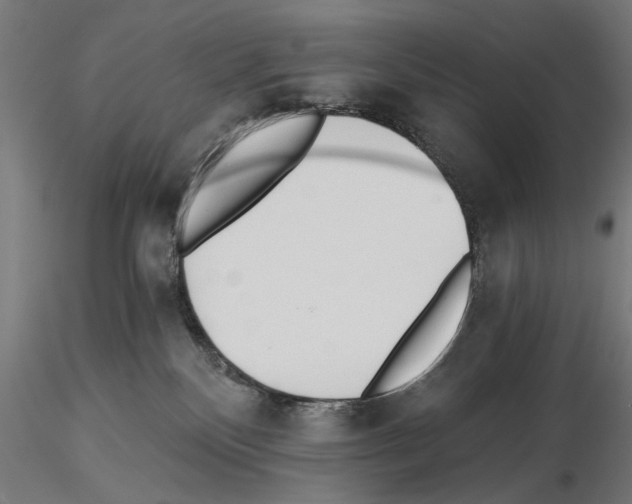 X0000115240136200912111103