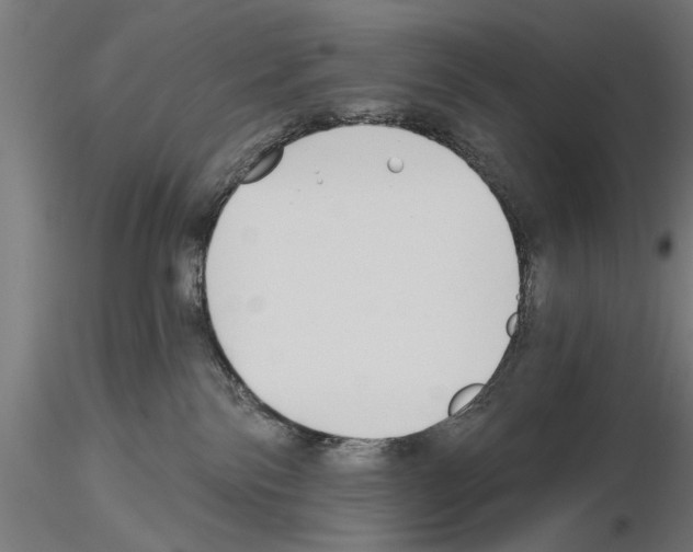 X0000115240138200912111103