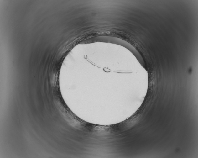 X0000115240139200912111103