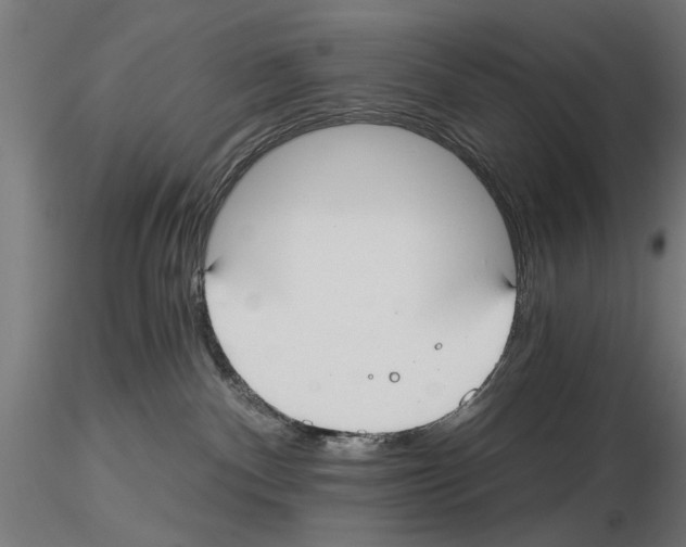 X0000115240140200912111103