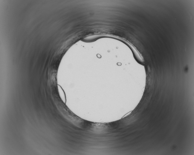 X0000115240141200912111103