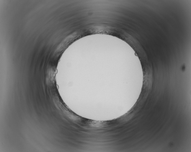 X0000115240142200912111103