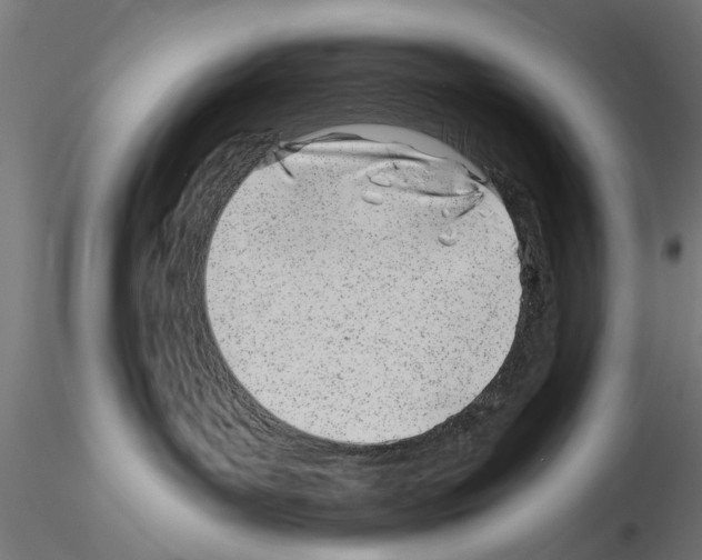 X0000115240143200912111103