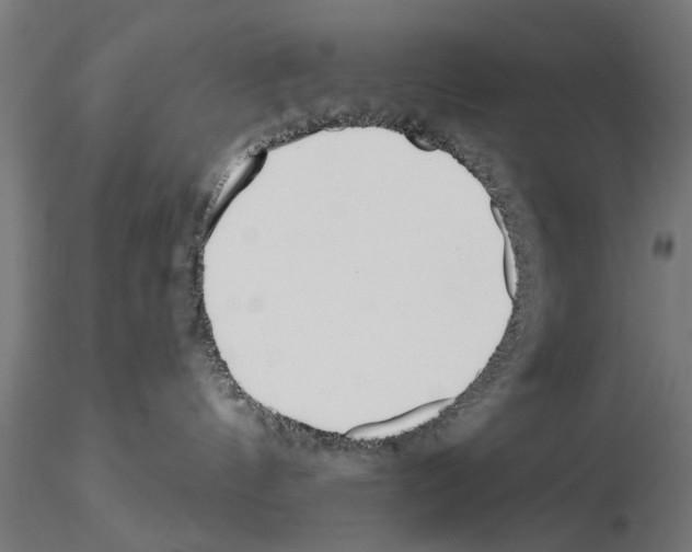 X0000115240144200912111103