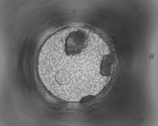 X0000115240145200912111102