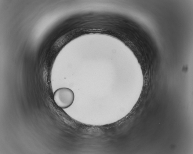 X0000115240146200912111102