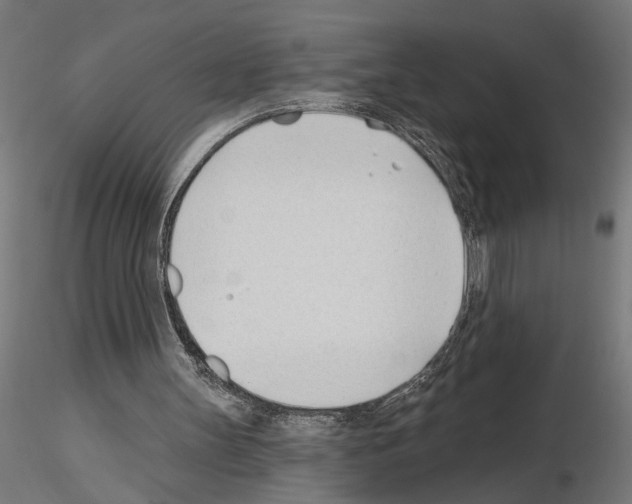 X0000115240147200912111102