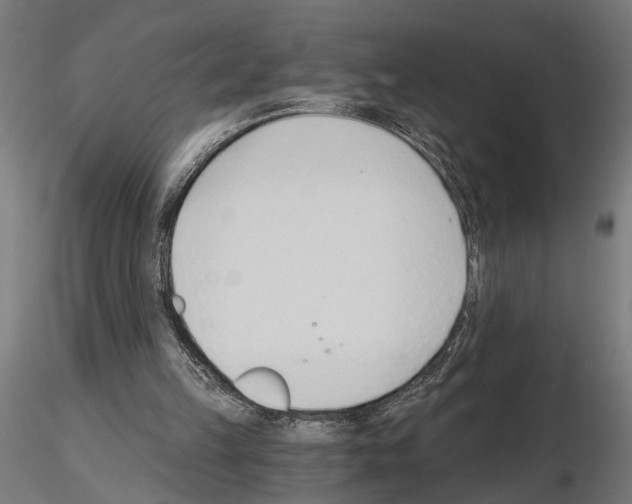 X0000115240149200912111102