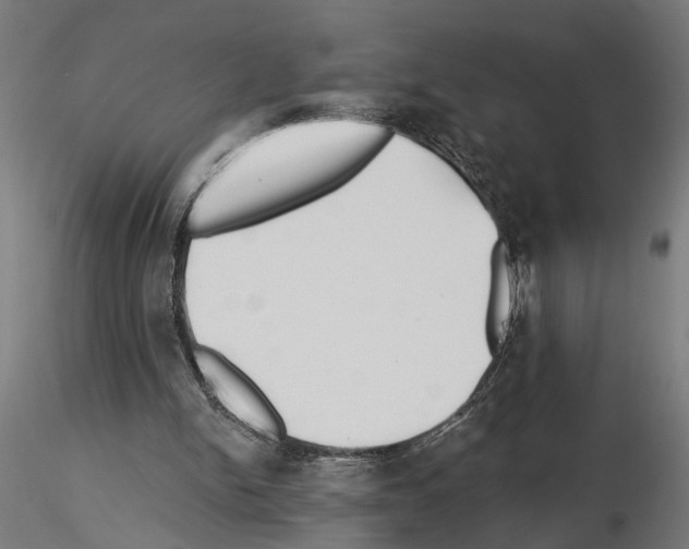 X0000115240150200912111102