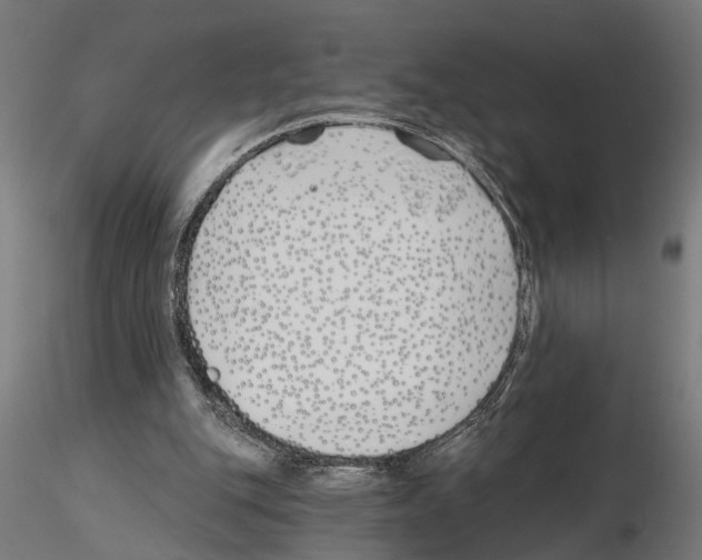 X0000115240151200912111102