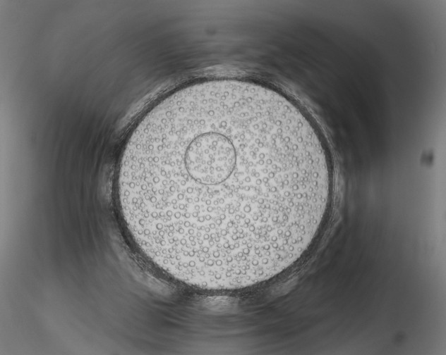 X0000115240153200912111102