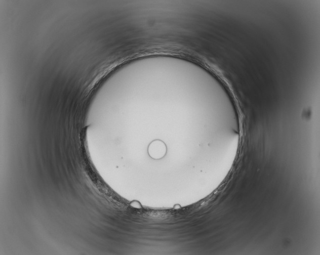 X0000115240154200912111102