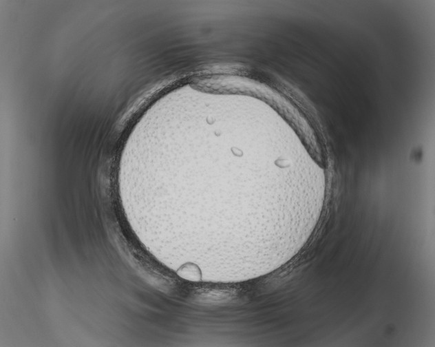 X0000115240155200912111102