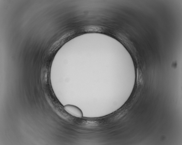 X0000115240157200912111102