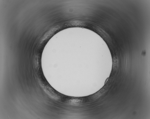 X0000115240158200912111102