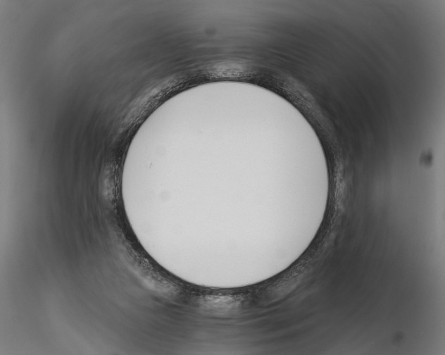 X0000115240161200912111102