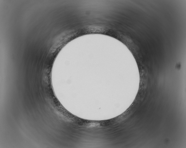 X0000115240162200912111102