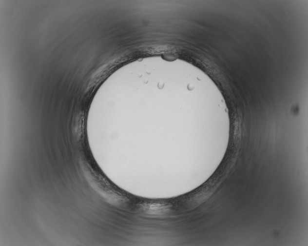 X0000115240165200912111102