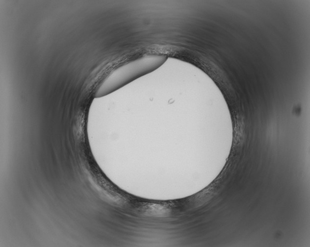 X0000115240166200912111102