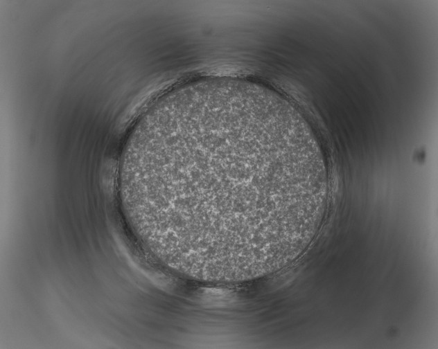 X0000115240167200912111102