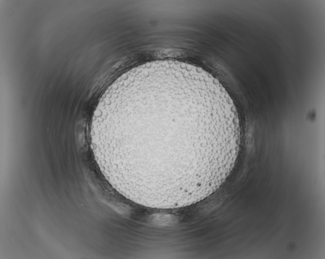 X0000115240169200912111102