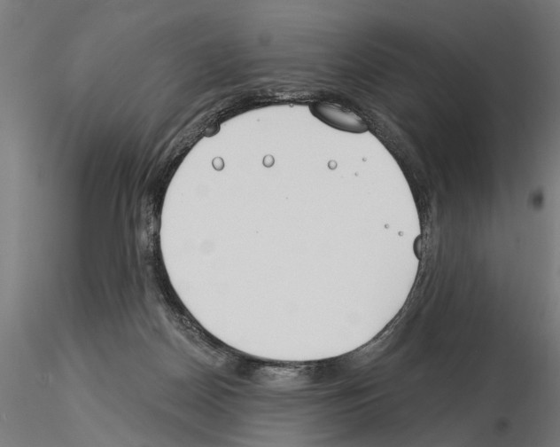 X0000115240170200912111102