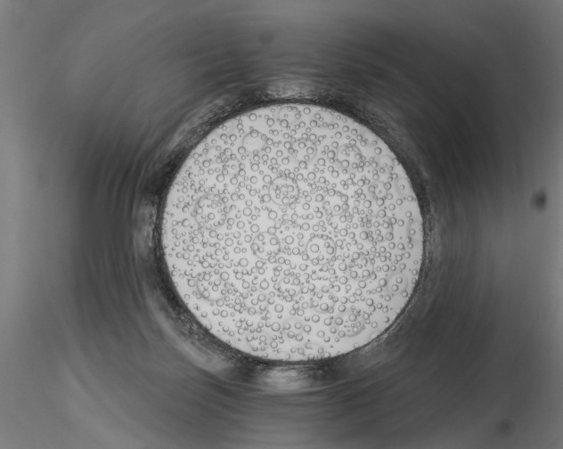 X0000115240171200912111102