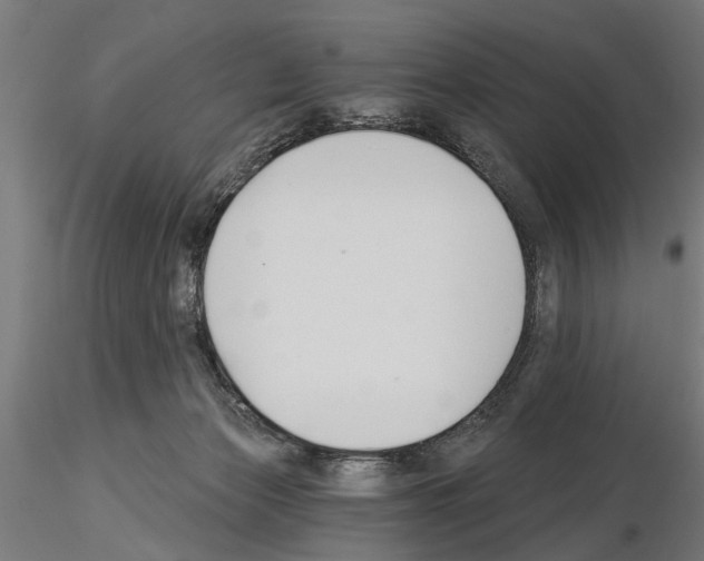 X0000115240173200912111102