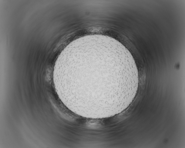 X0000115240175200912111102