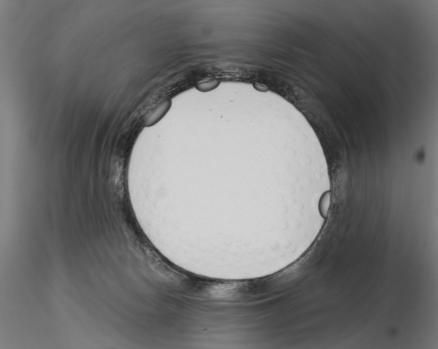 X0000115240178200912111102