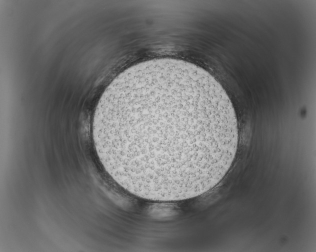 X0000115240179200912111102