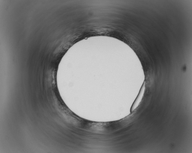 X0000115240182200912111102