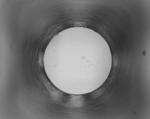 X0000115240185200912111102