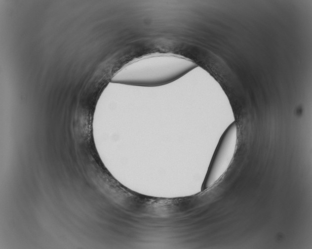 X0000115240186200912111102