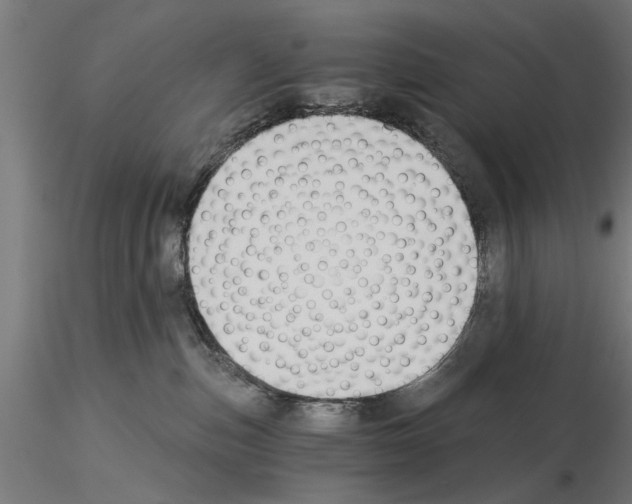 X0000115240187200912111102