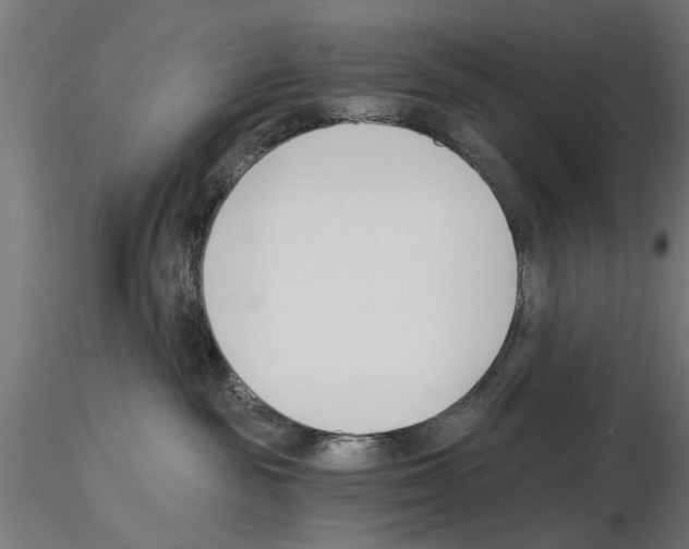 X0000115240189200912111103