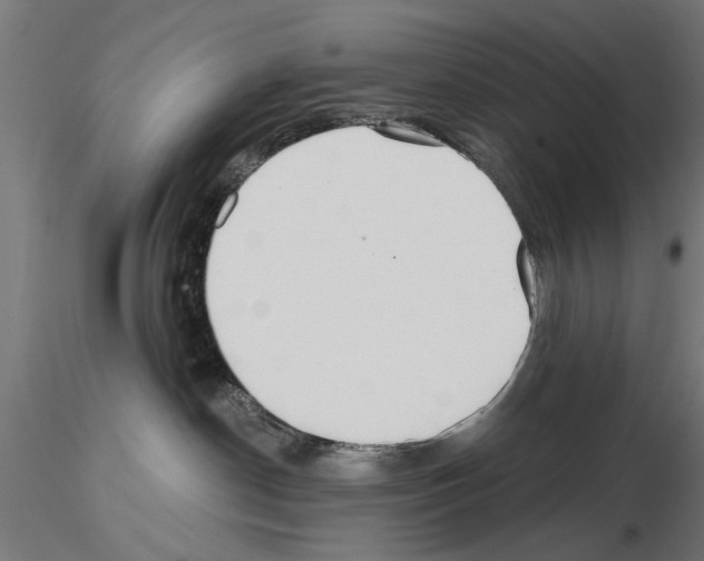 X0000115240190200912111103