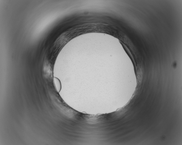 X0000115240191200912111103