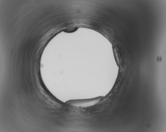 X0000115240193200912111102