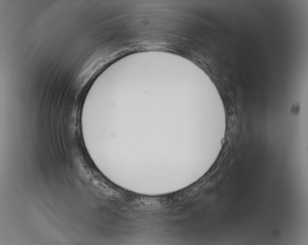 X0000115240194200912111102