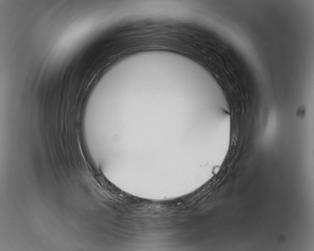 X0000115240195200912111102