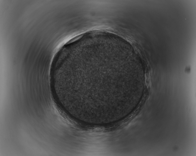 X0000115240196200912111102