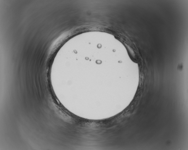 X0000115240197200912111102